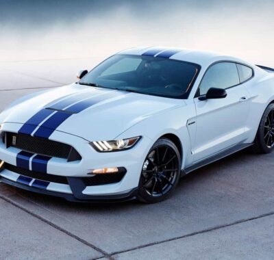 Google has unveiled artificial  the intelli software  appointmen