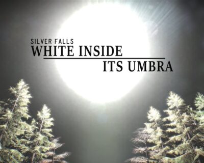 Muestran un nuevo trailer de Silver Falls: White Insides Its Umbra para Wii U